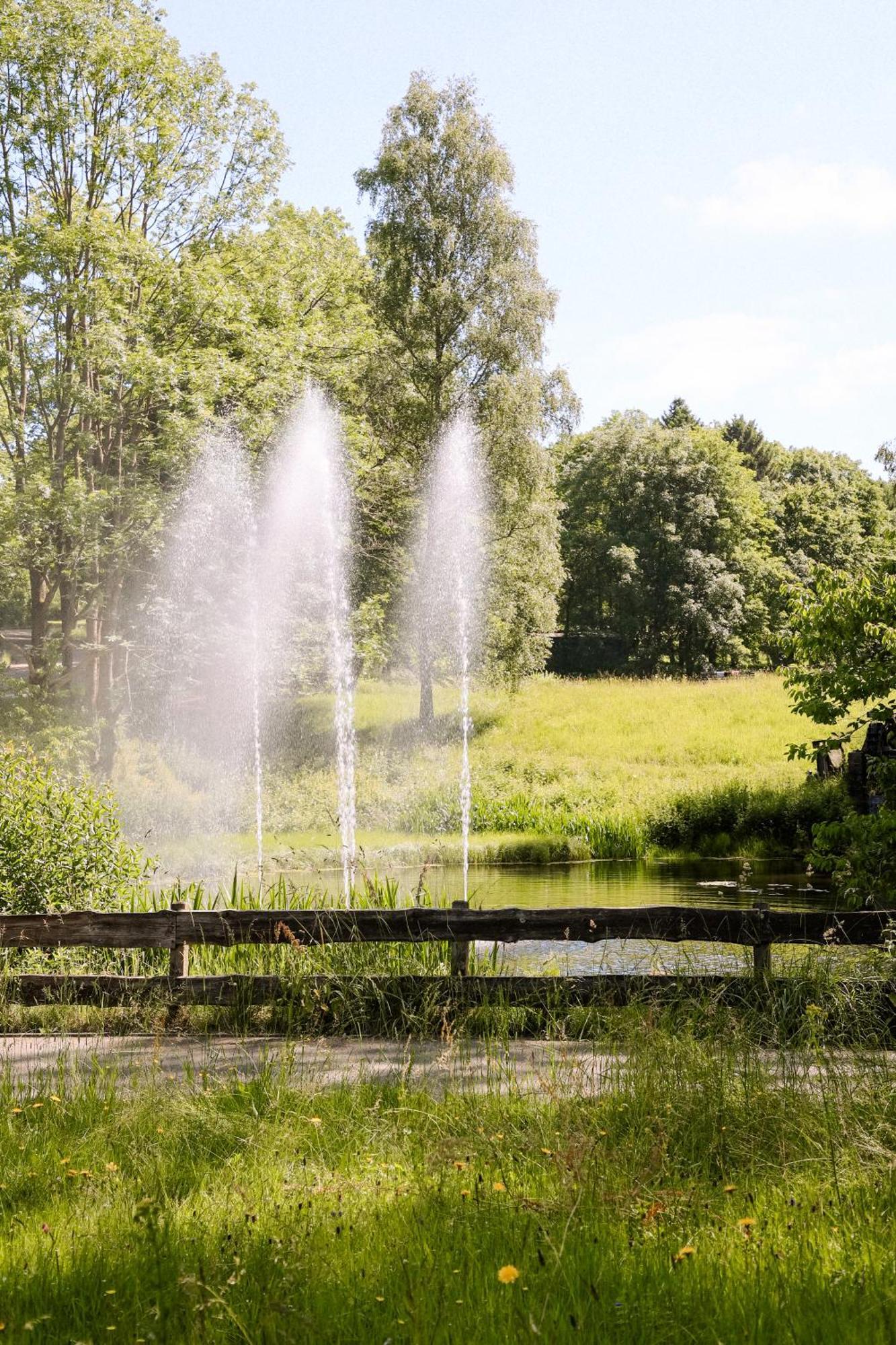 Apartment 540, Oberharz, Mit Schwimmbad Und Sauna Braunlage Zewnętrze zdjęcie